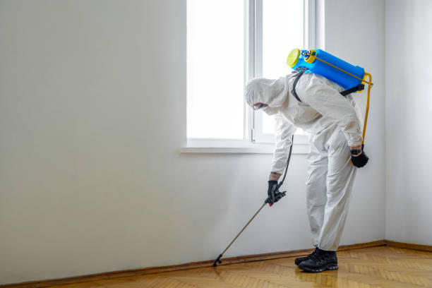 Professional Pest Control in Sturtevant, WI